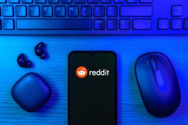 Prag, Çek Cumhuriyeti - 10 21 2024: Reddit logosunu gösteren akıllı telefon.