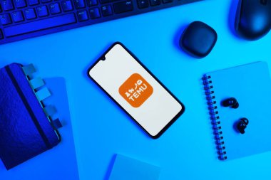 Prag, Çek Cumhuriyeti - 10 21 2024: Temu logosunu gösteren akıllı telefon.