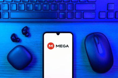 Prag, Çek Cumhuriyeti - 10 21 2024: Mega logosunu gösteren akıllı telefon.