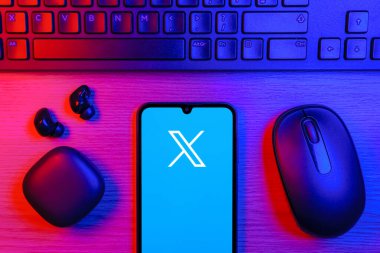 Prag, Çek Cumhuriyeti - 10 21 2024: X logosu gösteren akıllı telefon.