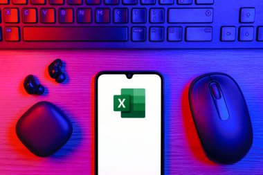 Prag, Çek Cumhuriyeti - 10 21 2024: Excel logosunu gösteren akıllı telefon.