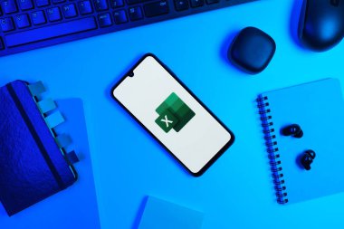 Prag, Çek Cumhuriyeti - 10 21 2024: Excel logosunu gösteren akıllı telefon.