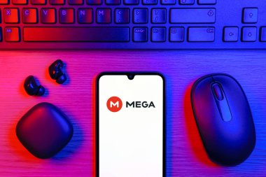 Prag, Çek Cumhuriyeti - 10 21 2024: Mega logosunu gösteren akıllı telefon.