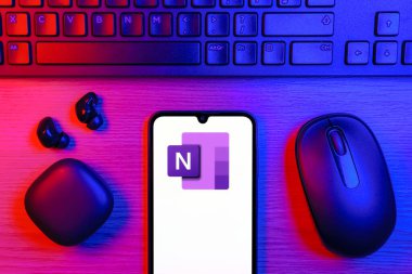 Prag, Çek Cumhuriyeti - 10 21 2024: Microsoft OneNote logosunu gösteren akıllı telefon.
