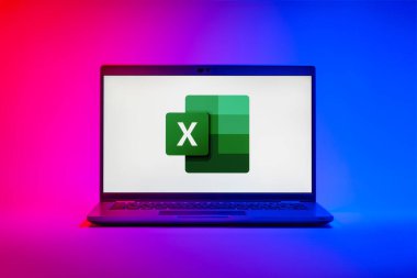 Prag, Çek Cumhuriyeti - 21 Ekim 2024: Excel logosunu gösteren modern dizüstü bilgisayar ekranı