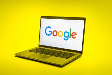 Prag, Çek Cumhuriyeti - 02 21 2025: Google logosunu gösteren dizüstü bilgisayar.