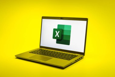 Prag, Çek Cumhuriyeti - 02 21 2025: Excel logosunu gösteren dizüstü bilgisayar.