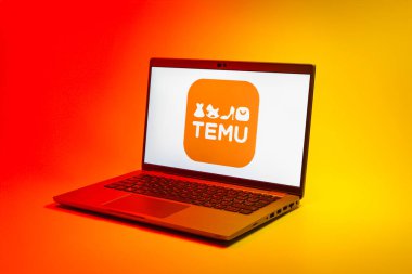 Prag, Çek Cumhuriyeti - 02 21 2025: Temu logosunu gösteren dizüstü bilgisayar.