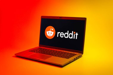 Prag, Çek Cumhuriyeti - 02 21 2025: Reddit logosunu gösteren dizüstü bilgisayar.