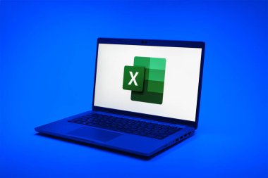 Prag, Çek Cumhuriyeti - 02 21 2025: Excel logosunu gösteren dizüstü bilgisayar.