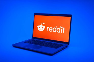 Prag, Çek Cumhuriyeti - 02 21 2025: Reddit logosunu gösteren dizüstü bilgisayar.