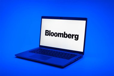 Prag, Çek Cumhuriyeti - 02 21 2025: Bloomberg logosunu gösteren dizüstü bilgisayar.