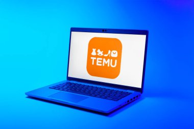Prag, Çek Cumhuriyeti - 02 21 2025: Temu logosunu gösteren dizüstü bilgisayar.
