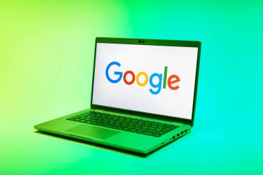 Prag, Çek Cumhuriyeti - 02 21 2025: Google logosunu gösteren dizüstü bilgisayar.