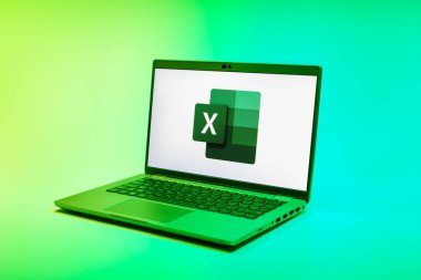 Prag, Çek Cumhuriyeti - 02 21 2025: Excel logosunu gösteren dizüstü bilgisayar.