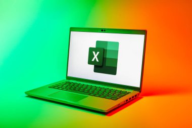 Prag, Çek Cumhuriyeti - 02 21 2025: Excel logosunu gösteren dizüstü bilgisayar.