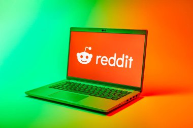 Prag, Çek Cumhuriyeti - 02 21 2025: Reddit logosunu gösteren dizüstü bilgisayar.