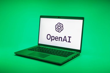 Prag, Çek Cumhuriyeti - 02 21 2025: OpenAI logosunu gösteren dizüstü bilgisayar.