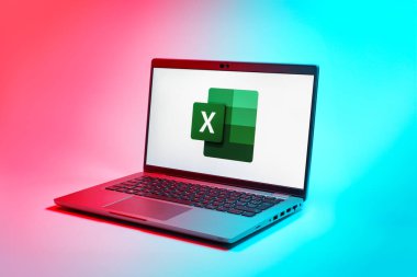 Prag, Çek Cumhuriyeti - 02 21 2025: Excel logosunu gösteren dizüstü bilgisayar.