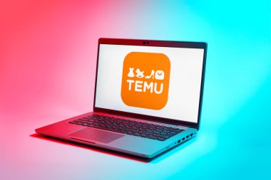 Prag, Çek Cumhuriyeti - 02 21 2025: Temu logosunu gösteren dizüstü bilgisayar.