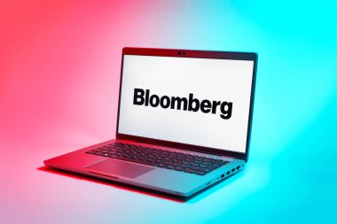 Prag, Çek Cumhuriyeti - 02 21 2025: Bloomberg logosunu gösteren dizüstü bilgisayar.