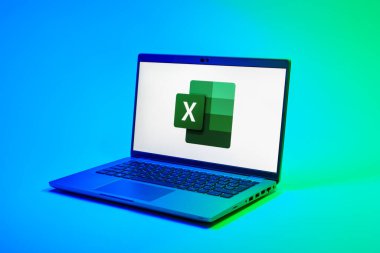 Prag, Çek Cumhuriyeti - 02 21 2025: Excel logosunu gösteren dizüstü bilgisayar.