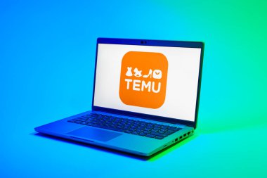 Prag, Çek Cumhuriyeti - 02 21 2025: Temu logosunu gösteren dizüstü bilgisayar.