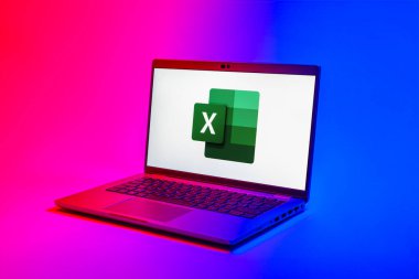 Prag, Çek Cumhuriyeti - 02 21 2025: Excel logosunu gösteren dizüstü bilgisayar.