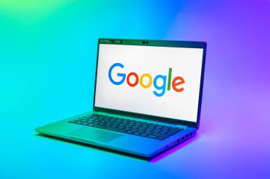 Prag, Çek Cumhuriyeti - 02 21 2025: Google logosunu gösteren dizüstü bilgisayar.