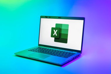 Prag, Çek Cumhuriyeti - 02 21 2025: Excel logosunu gösteren dizüstü bilgisayar.