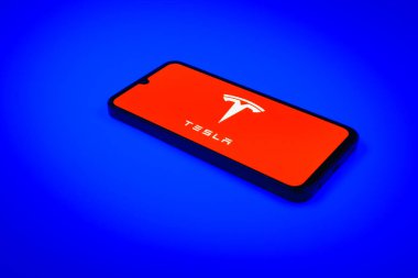 Prag, Çek Cumhuriyeti - 02 21 2025: Tesla logosunu gösteren dizüstü bilgisayar.