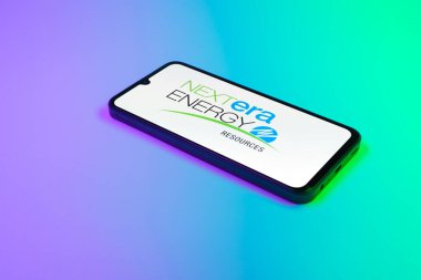 Prag, Çek Cumhuriyeti - 02 21 2025: Nextera Enerji logosunu gösteren dizüstü bilgisayar.