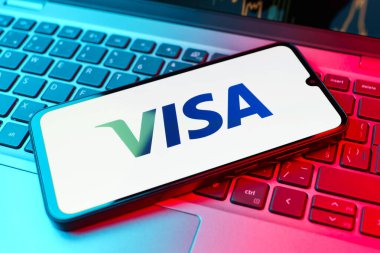 Prag, Çek Cumhuriyeti - 02 21 2025: Vize logosunu gösteren dizüstü bilgisayar.
