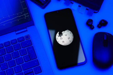 Prag, Çek Cumhuriyeti - 10 21 2024: Wikipedia logosunu gösteren akıllı telefon.