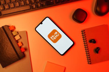 Prag, Çek Cumhuriyeti - 10 21 2024: Temu logosunu gösteren akıllı telefon.