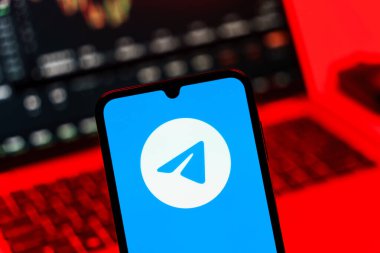 Prag, Çek Cumhuriyeti - 10 21 2024: Telgraf logosunu gösteren akıllı telefon.