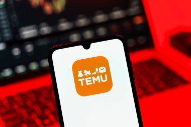 Prag, Çek Cumhuriyeti - 10 21 2024: Temu logosunu gösteren akıllı telefon.
