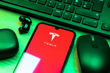Prag, Çek Cumhuriyeti - 10 21 2024: Tesla logosunu gösteren akıllı telefon.