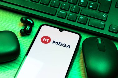 Prag, Çek Cumhuriyeti - 10 21 2024: Mega logosunu gösteren akıllı telefon.