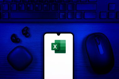 Prag, Çek Cumhuriyeti - 10 21 2024: Excel logosunu gösteren akıllı telefon.