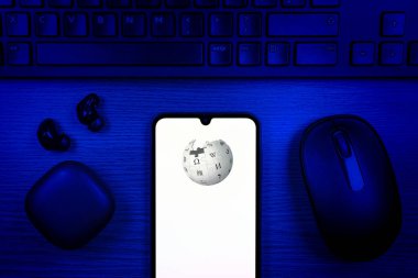 Prag, Çek Cumhuriyeti - 10 21 2024: Wikipedia logosunu gösteren akıllı telefon.