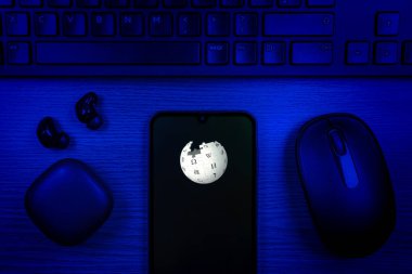 Prag, Çek Cumhuriyeti - 10 21 2024: Wikipedia logosunu gösteren akıllı telefon.