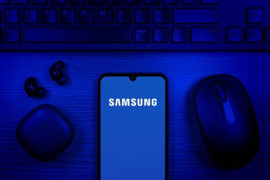 Prag, Çek Cumhuriyeti - 10 21 2024: Samsung logosunu gösteren akıllı telefon.