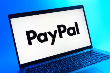 Prag, Çek Cumhuriyeti - 05 08 2025: PayPal logosunu gösteren renkli bir arkaplanda duran dizüstü bilgisayarın yakından görüntüsü.