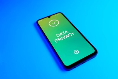 Açık mavi arkaplandaki telefon Veri Gizliliği metnini görüntüler.