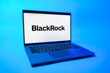 Prag, Çek Cumhuriyeti - 08 01 2025: Tek tip arka planda bir dizüstü bilgisayar BlackRock logosunu gösteriyor. BlackRock küresel bir yatırım yönetim şirketidir..