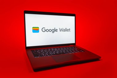 Prag, Çek Cumhuriyeti - 08 01 2025: Tek tip arka planda bir dizüstü bilgisayar Google Cüzdan logosunu gösterir. Google Cüzdanı dijital ödeme yöntemlerini depolamak ve kullanmak için bir platformdur.