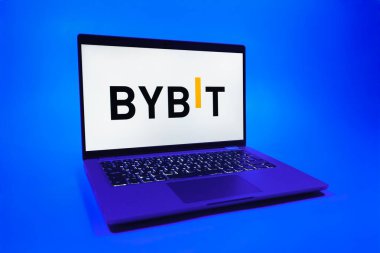 Prag, Çek Cumhuriyeti - 08 01 2025: Tek bir arkaplanda bir dizüstü bilgisayar Bybit logosunu gösterir. Bybit şifreli para ve türev ticareti için bir platformdur.