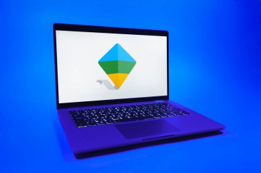 Prag, Çek Cumhuriyeti - 08 01 2025: Google Family Link logosunu gösteren bir dizüstü bilgisayar. Google Family Link ebeveyn denetimi ve çocuk hesabı yönetimi için bir platformdur.