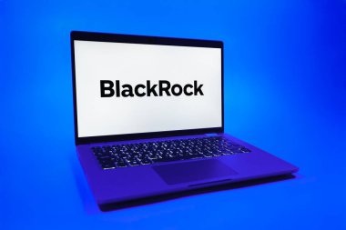 Prag, Çek Cumhuriyeti - 08 01 2025: Tek tip arka planda bir dizüstü bilgisayar BlackRock logosunu gösteriyor. BlackRock küresel bir yatırım yönetim şirketidir..